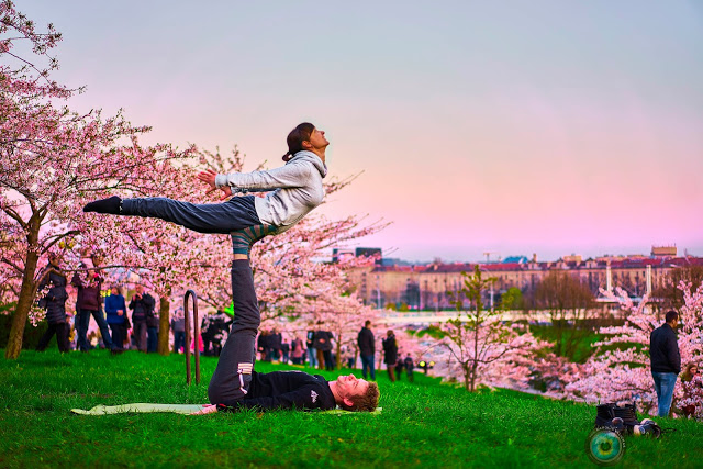 Nuotrauka - i&scaron; http://www.acroyoga.lt/