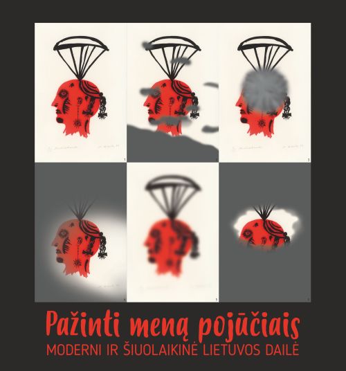 Nuotraukoje - edukacinės programos plakatas Nuotraukoje - edukacinės programos plakatas
